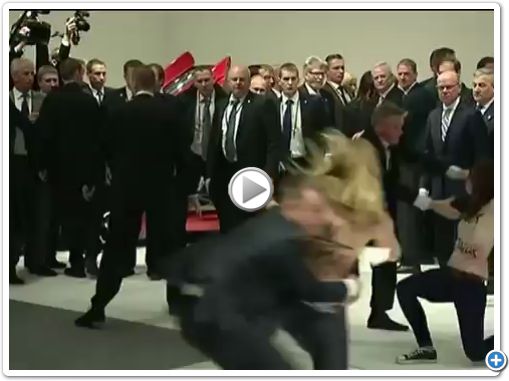 Femen(1)