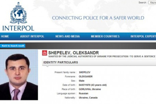 33012015shepelev4