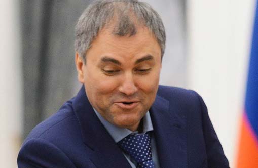 22122014potupchik9volodin